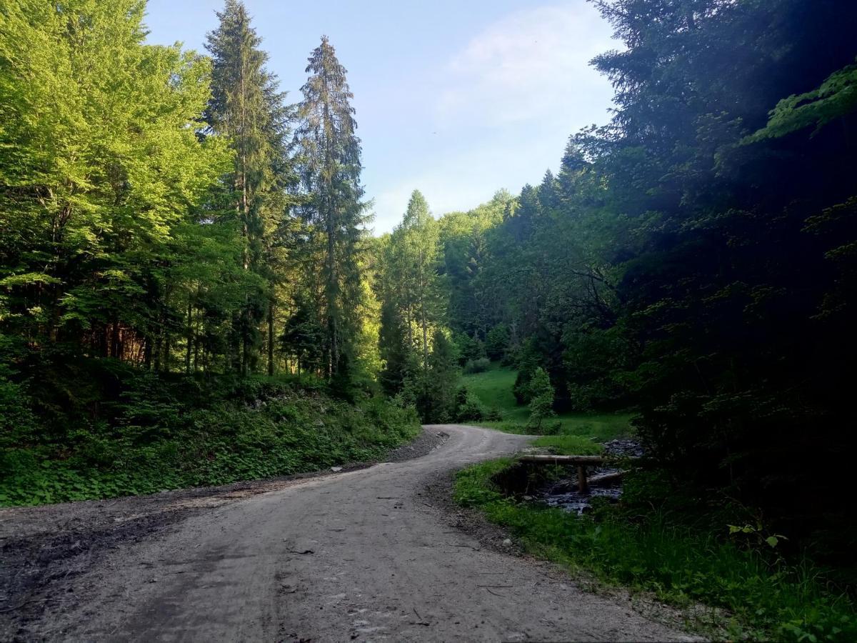 Dom W Gorach Przy Szlaku Villa Bystra  Exteriör bild