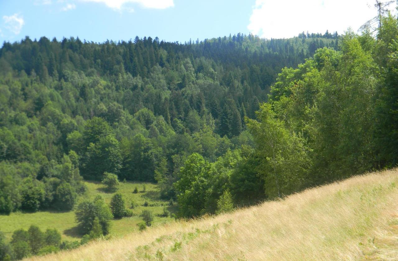 Dom W Gorach Przy Szlaku Villa Bystra  Exteriör bild