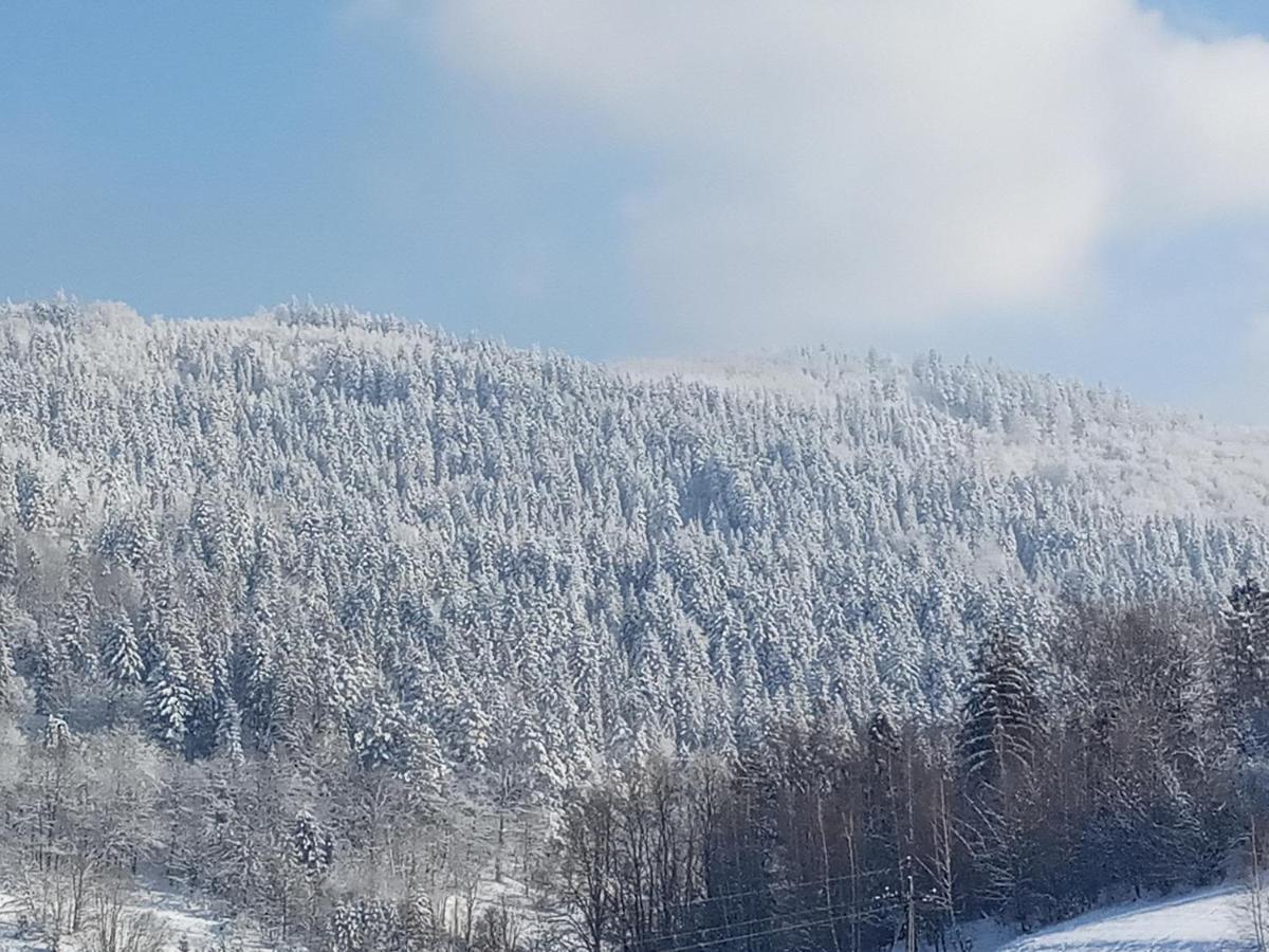 Dom W Gorach Przy Szlaku Villa Bystra  Exteriör bild