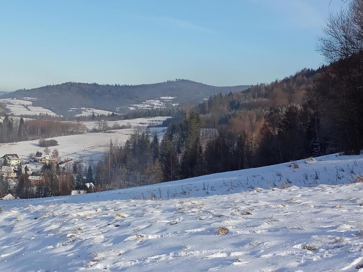 Dom W Gorach Przy Szlaku Villa Bystra  Exteriör bild