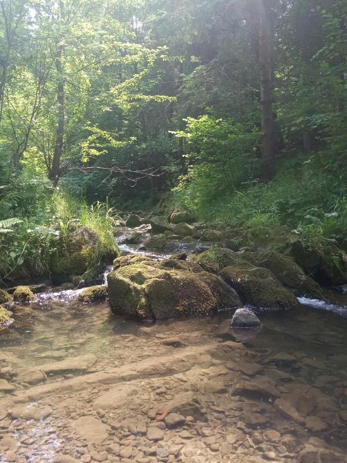 Dom W Gorach Przy Szlaku Villa Bystra  Exteriör bild